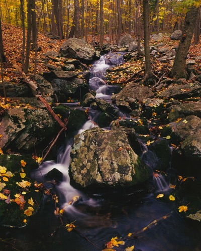 Forest Cascade 2, Sparta Mountains, Sussex County, NJ (MF).jpg